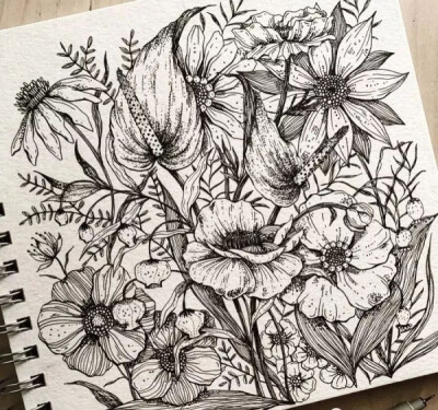 h线描花卉