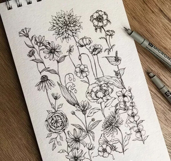 h线描花卉