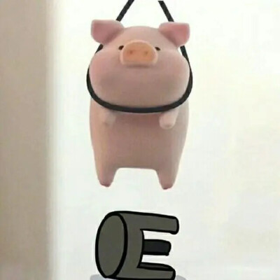 猪猪表情包