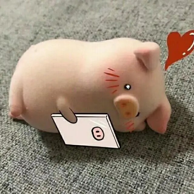 猪猪表情包