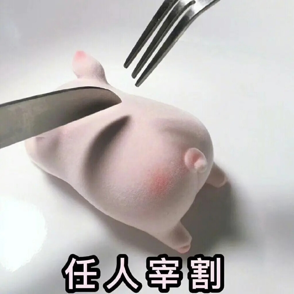 猪猪表情包
