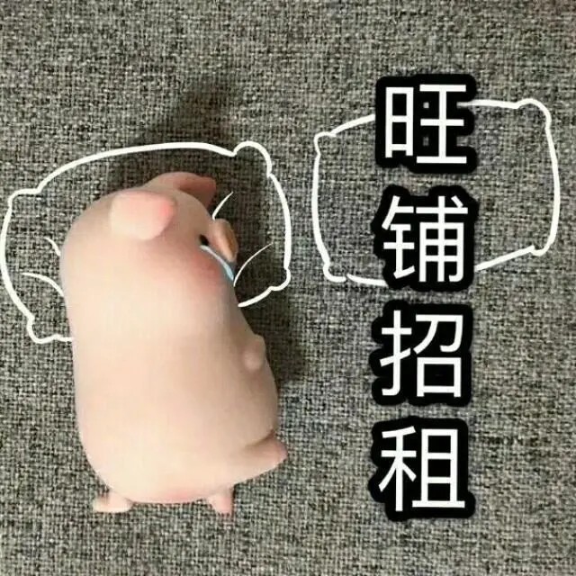 猪猪表情包