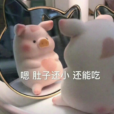 猪猪表情包