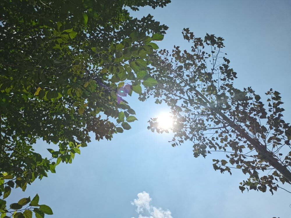 太阳和云层
手机拍摄
拿图留名