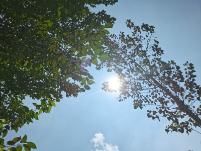 太阳和云层
手机拍摄
拿图留名