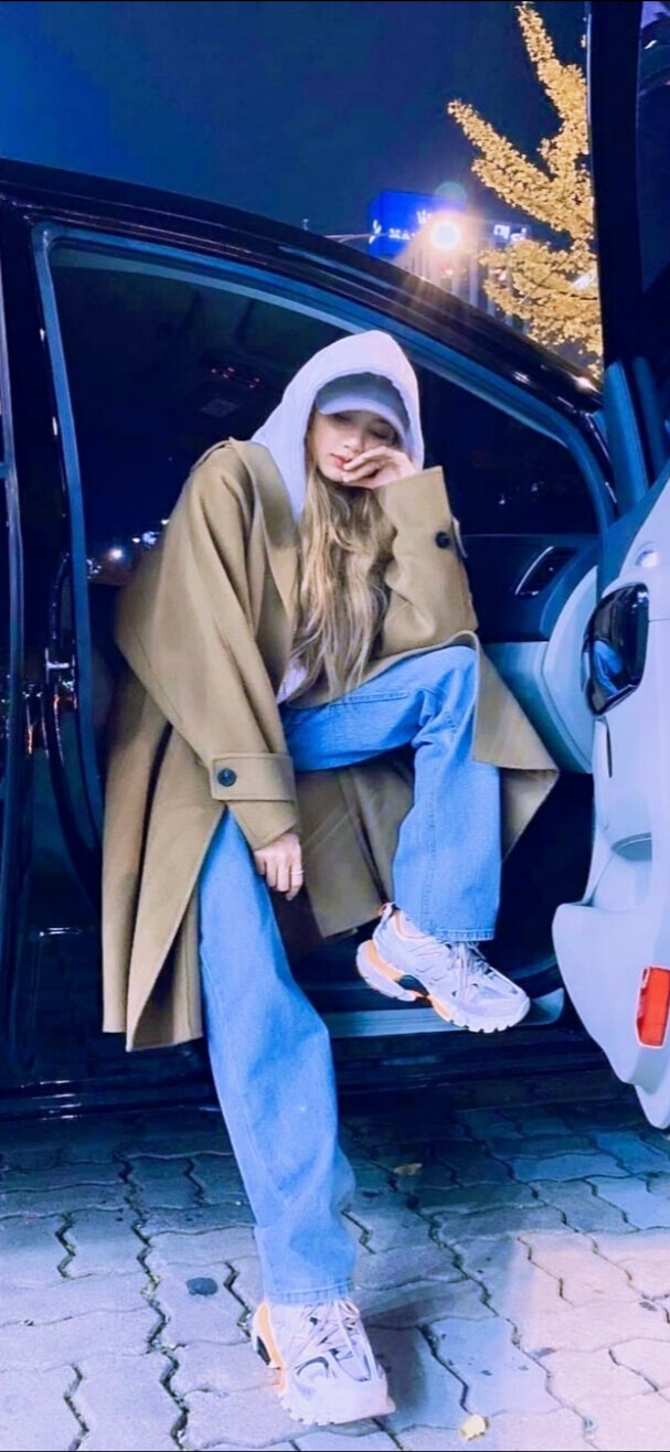 Lisa壁纸