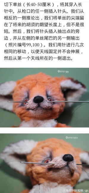 小狐狸