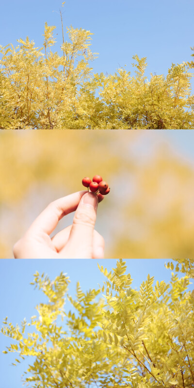 细数时间碎片 希望生活温暖顺心
你们的新年愿望是什么呢
摄影@失忆北岛
#大年初一# ​