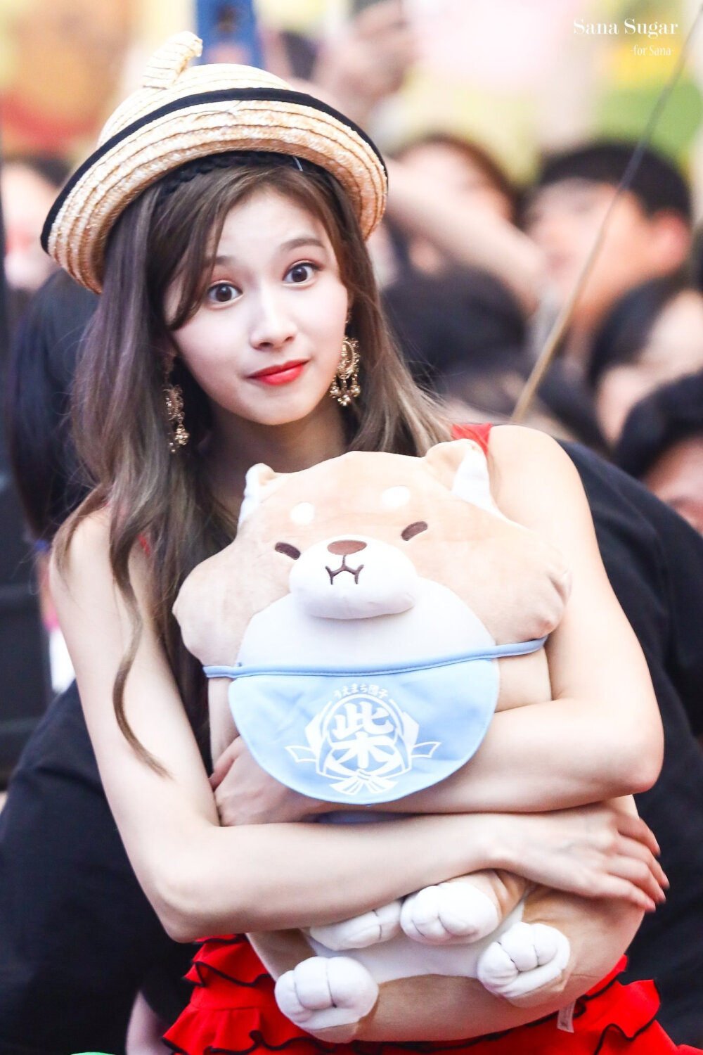  sana_sugar1229