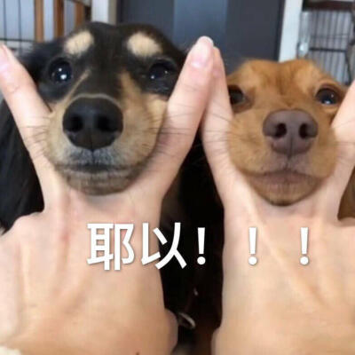 耶以！