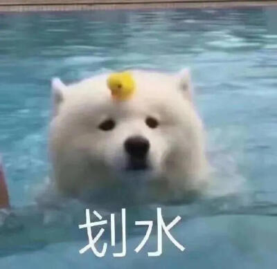 划水