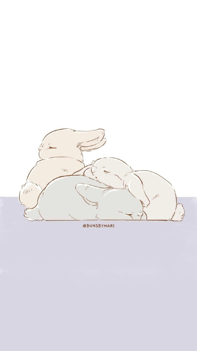 兔子壁纸