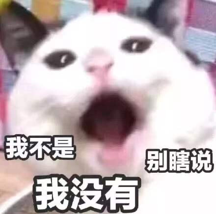 猫猫表情包 萌萌 我不是 我没有 别瞎说 矢… - 高清图片，堆糖，美图壁纸兴趣社区