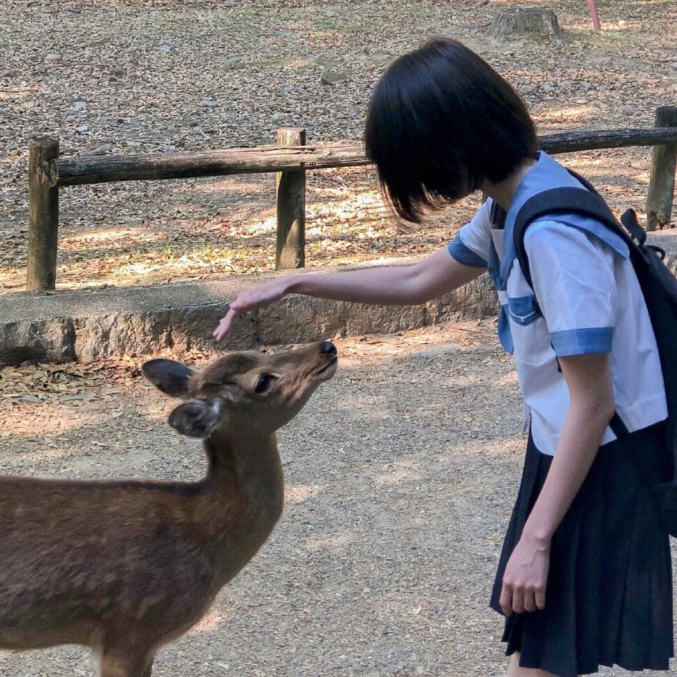 极致偏爱