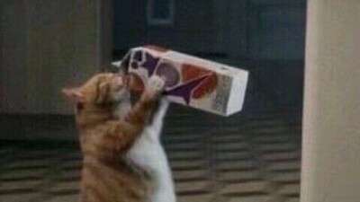 您破头紧身裤哭