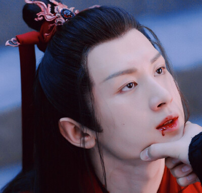 琉璃 禹司凤（成毅）