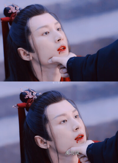 琉璃 禹司凤（成毅）