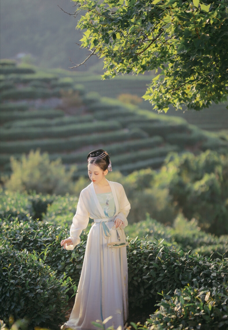 世界上愈是黑白分明的事情愈是要出错的。