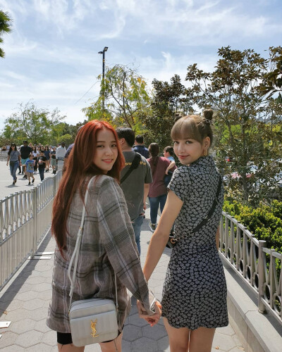 lisa with jisoo
荔枝cp
拿图请收藏专辑