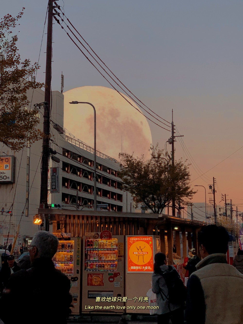 茶不喜欢孤独，我的茶也想要你。
风景☆蓝色☆☆粉色天空☆夕阳☆治愈☆外景☆干净☆拿图点赞关注☆经常更新☆源于各处侵权删除☆大海