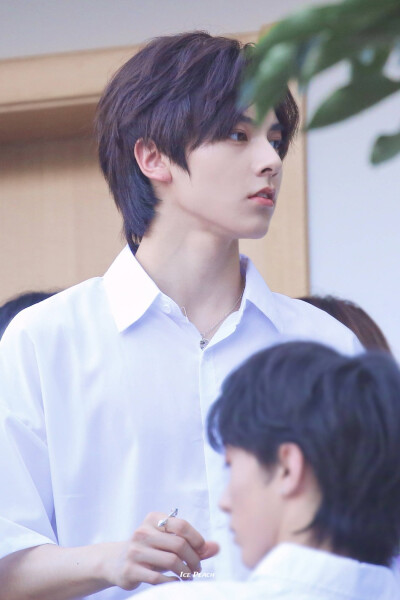 左林杰