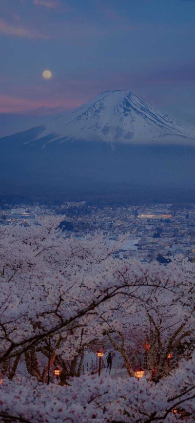 富士山