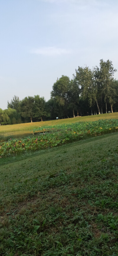 秋风越来越薄，烟火越来越浓，所有的日子都像是被洗净了又晒干，还努力保持原来的样子。如一个忙碌的人，心底的空间早已装不下诗和远方，但是，总希望手心里的温暖似一枚浅浅的秋阳，可以沉淀为一份安详，被岁月严谨…