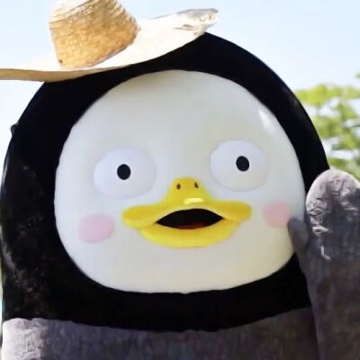 今日份的男头
