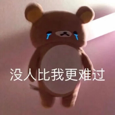毛绒绒的玩具萌头像 轻松熊表情包 没有人比我难过