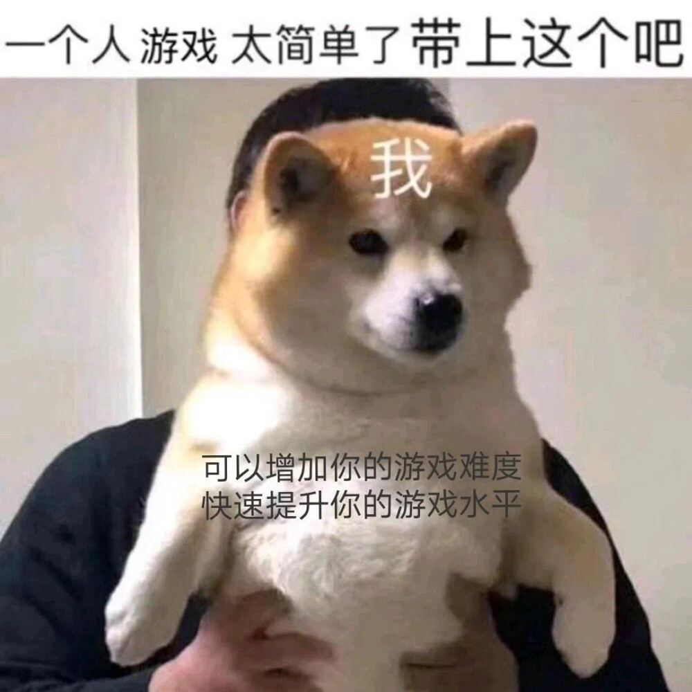 狗狗表情包 带上我一起打游戏吧