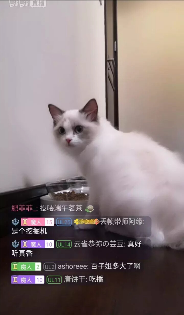 百子姐