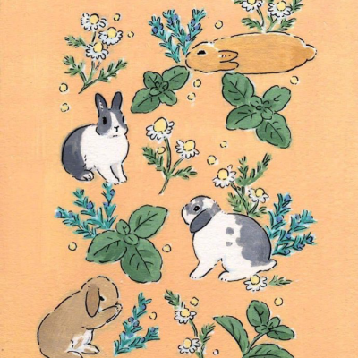 ·彩插集·
日本插画家:
森山功子（Schinako Moriyama）画的兔子 ​​​