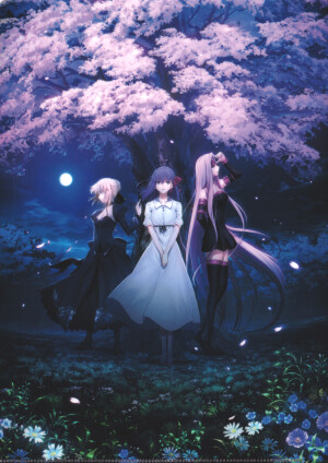 Fate stay night