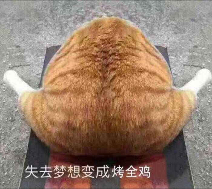 猫猫表情包失去梦想系列 失去梦想变成烤全鸡