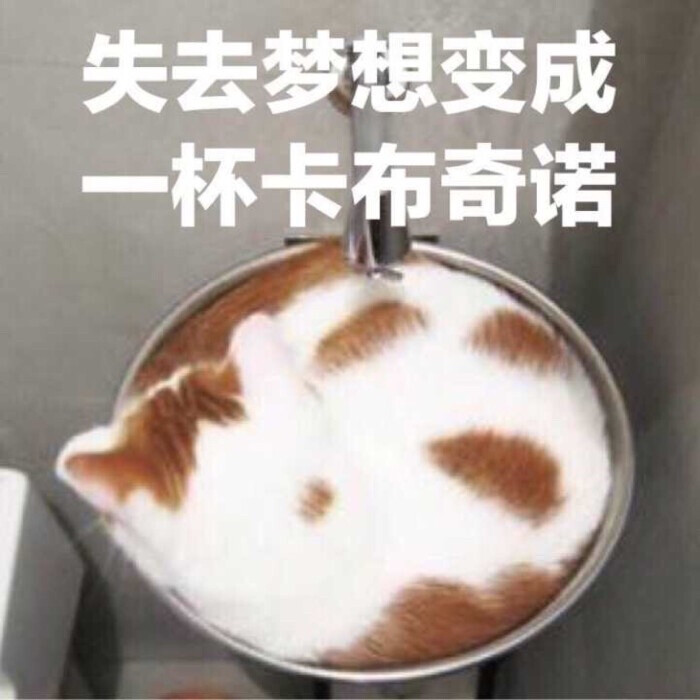 猫猫表情包失去梦想系列 失去梦想变成卡布奇诺