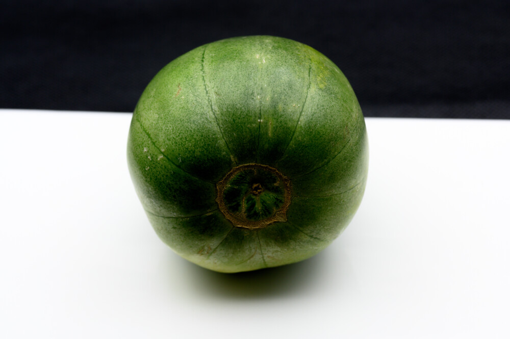 绿宝甜瓜 甜瓜 黑色背景 白色瓷盘 水果 成熟 静物 蔬菜 食品 农业