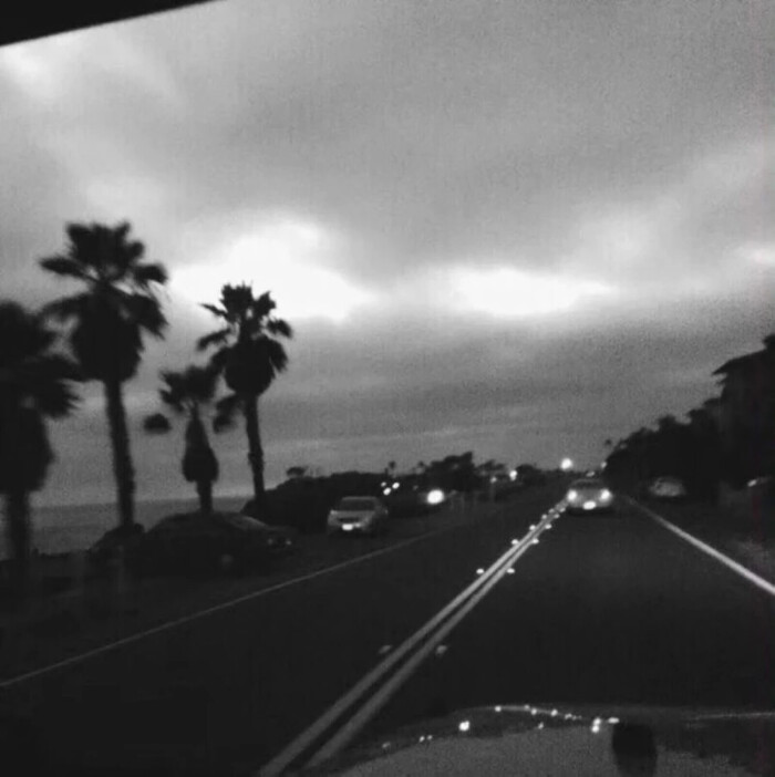 
上尉到底在意过阁楼间的那只不听话的猫咪吗
回应她之后 再让她看着他的背影离去