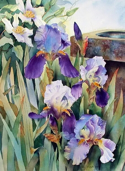 Ann Mortimer 水彩画