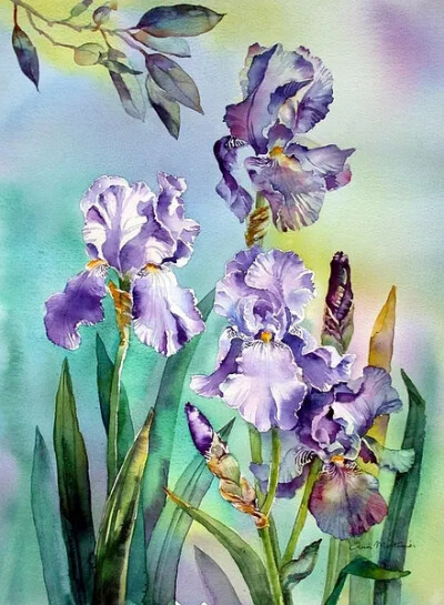 Ann Mortimer 水彩画