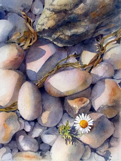 Ann Mortimer 水彩画