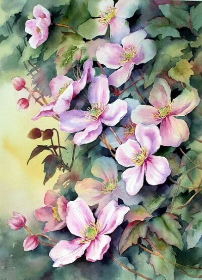 Ann Mortimer 水彩画