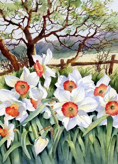 Ann Mortimer 水彩画