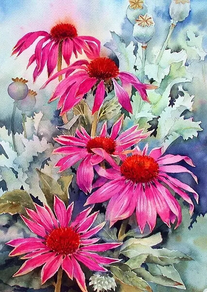 Ann Mortimer 水彩画