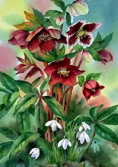 Ann Mortimer 水彩画