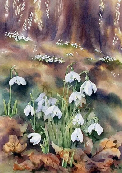 Ann Mortimer 水彩画