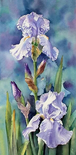 Ann Mortimer 水彩画