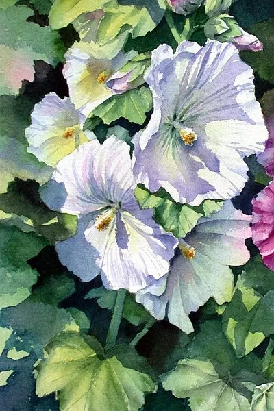 Ann Mortimer 水彩画