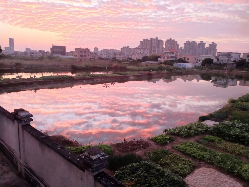 闪亮登场