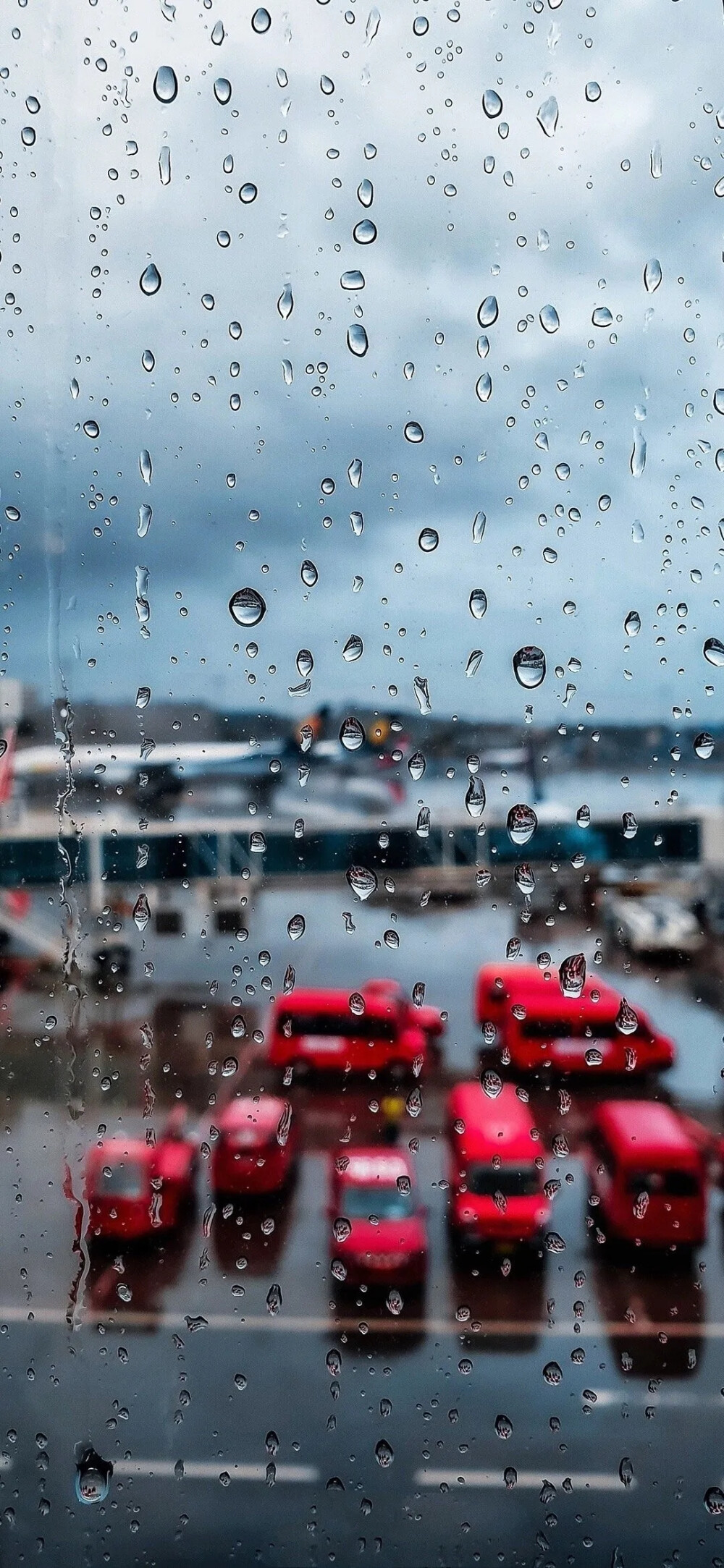 雨天壁纸