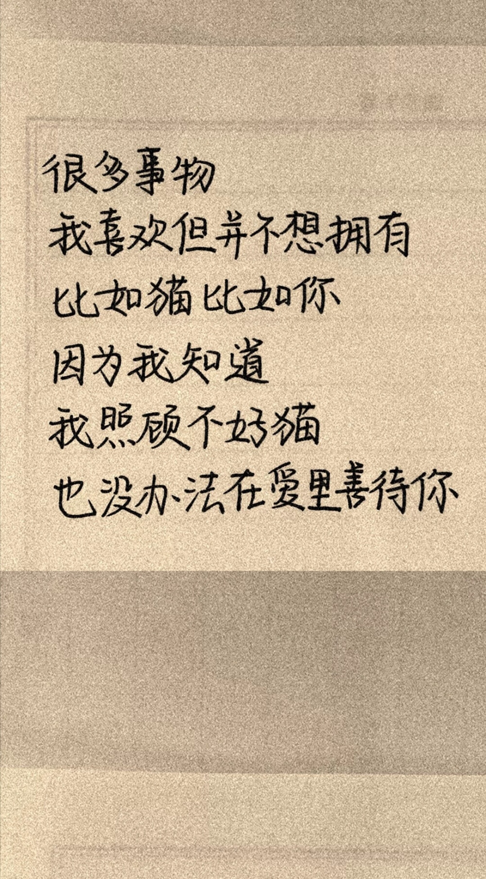 文字控